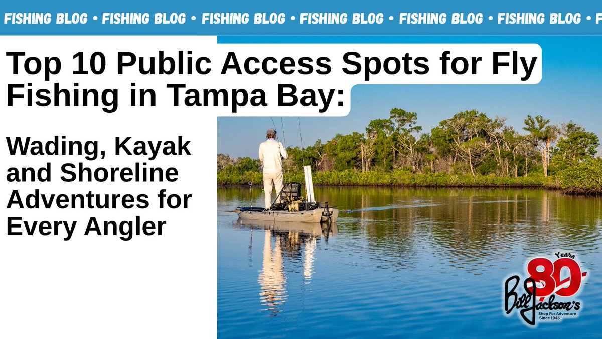BillJacksonShop's tweet photo. This week's blog is all about the best places to fly fish in our beautiful Tampa Bay area!
Read on for tips and links to start planning your next fishing adventure! #flyfishing 
https://t.co/j1f4wlcHEf https://t.co/MWeUFUiaB8