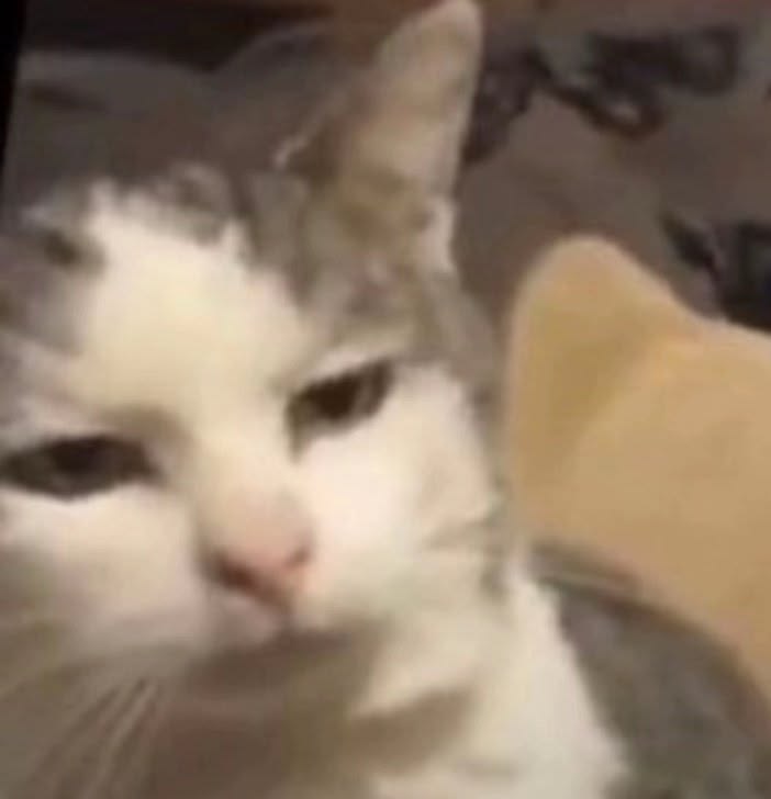 Ada | busy wips tweet media