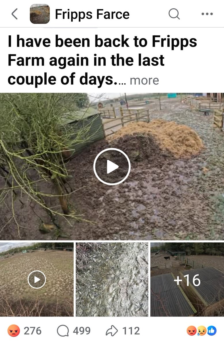 duffyduffs's tweet photo. @JodieMarsh Is this to pay your 75k a year salary, or to feed your animals 🤔 
https://t.co/wryi9nG3F2 https://t.co/kGnKQSiYcs