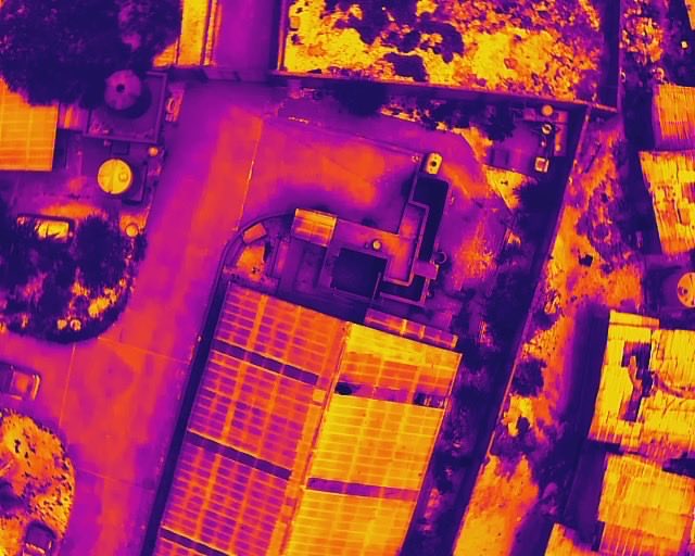 codohsapa tweet media