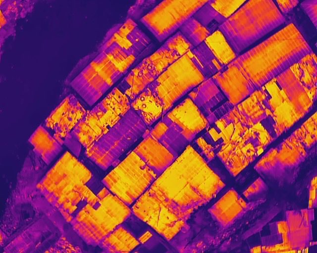 codohsapa tweet media