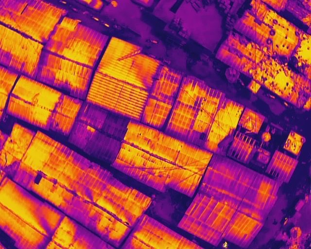 codohsapa tweet media