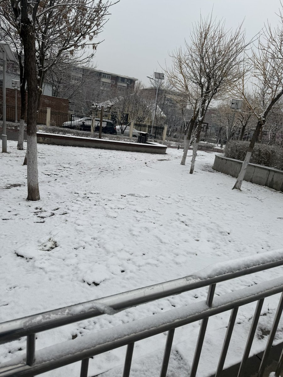 Zhoujian321's tweet photo. 张万森，下雪了。
张万森，雪化了。#单身万岁#熊熊🐻 https://t.co/RXsz01Qjoy