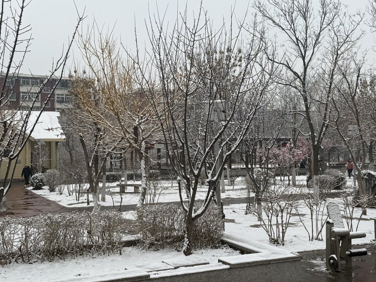 Zhoujian321's tweet photo. 张万森，下雪了。
张万森，雪化了。#单身万岁#熊熊🐻 https://t.co/RXsz01Qjoy