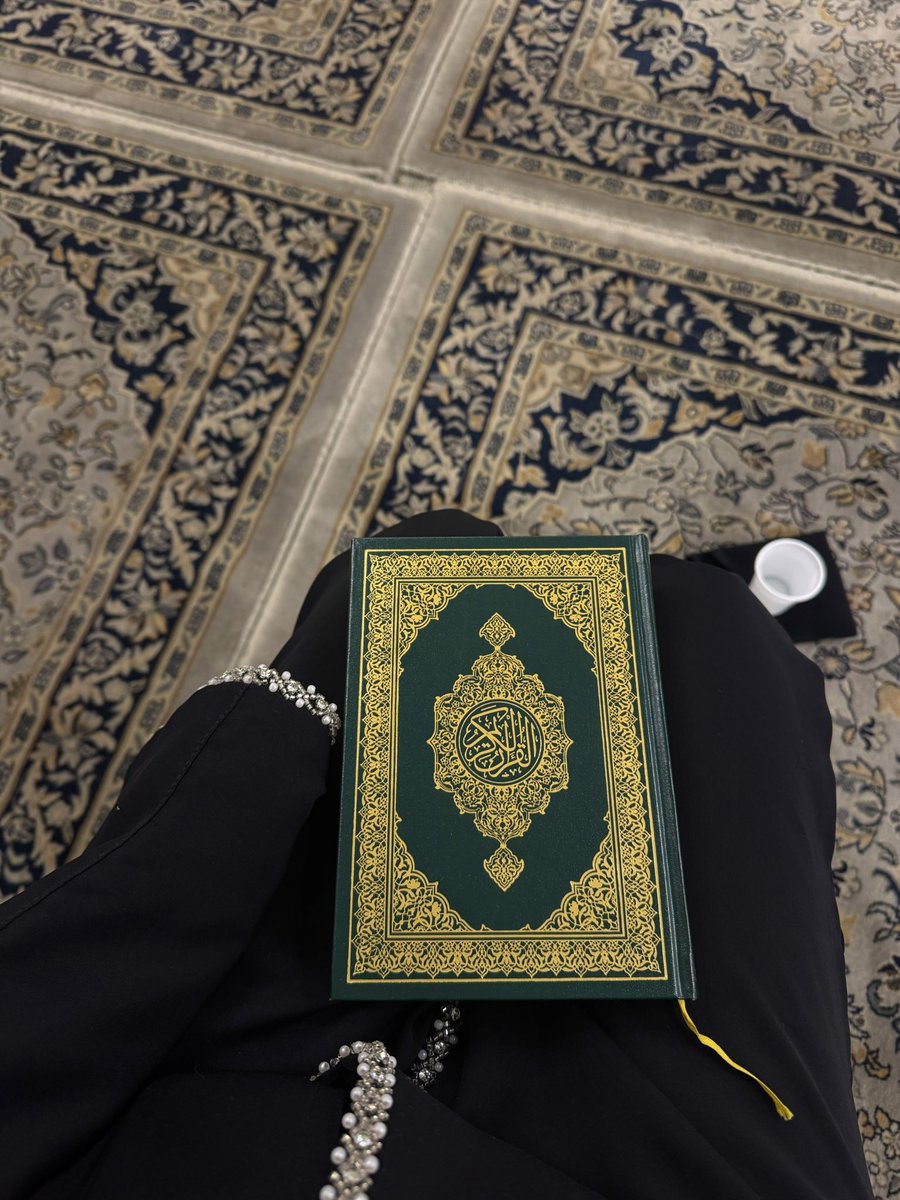 seba. tweet media
