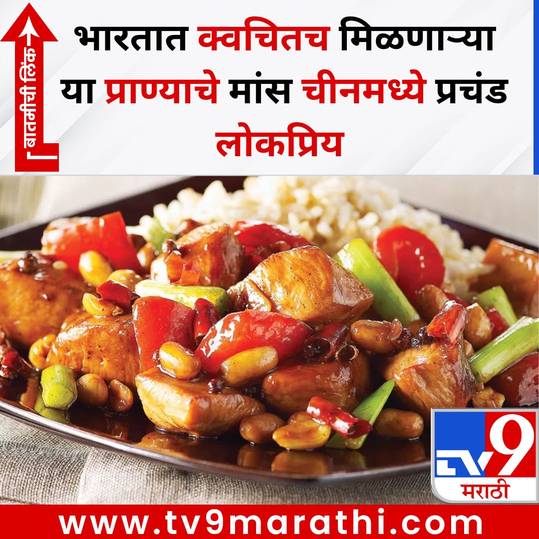 TV9Marathi's tweet image. भारतात क्वचितच मिळणाऱ्या या प्राण्याचे मांस चीनमध्ये प्रचंड लोकप्रिय 
बातमीची लिंक - 
tv9marathi.com/photo-gallery/…
#Chinafood #meat #pekingduck