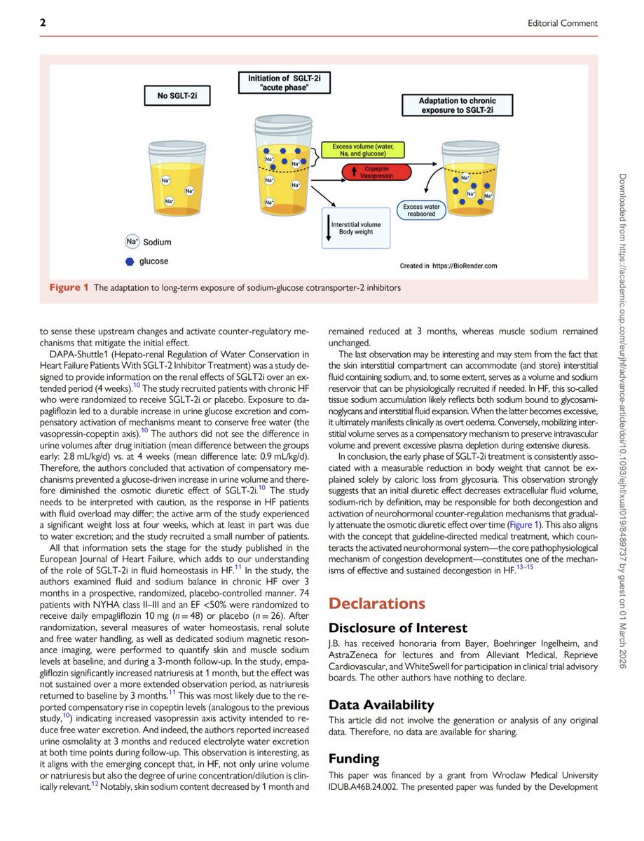EJHF Editor-in-Chief tweet media