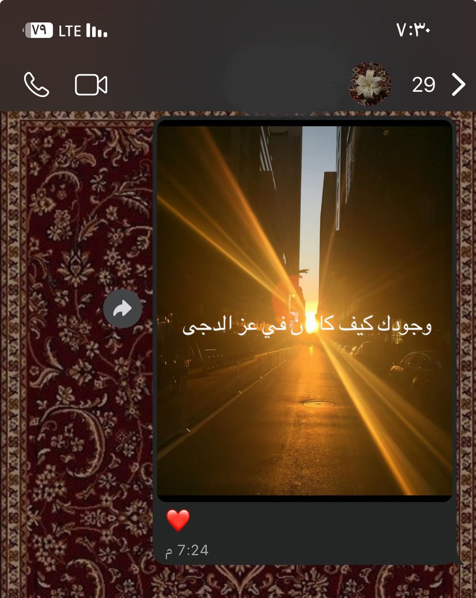 sj0ul's tweet photo. ✨وجودك أحن  وادفئ
_جزء في يومي_✨ https://t.co/UYYeZiMesM