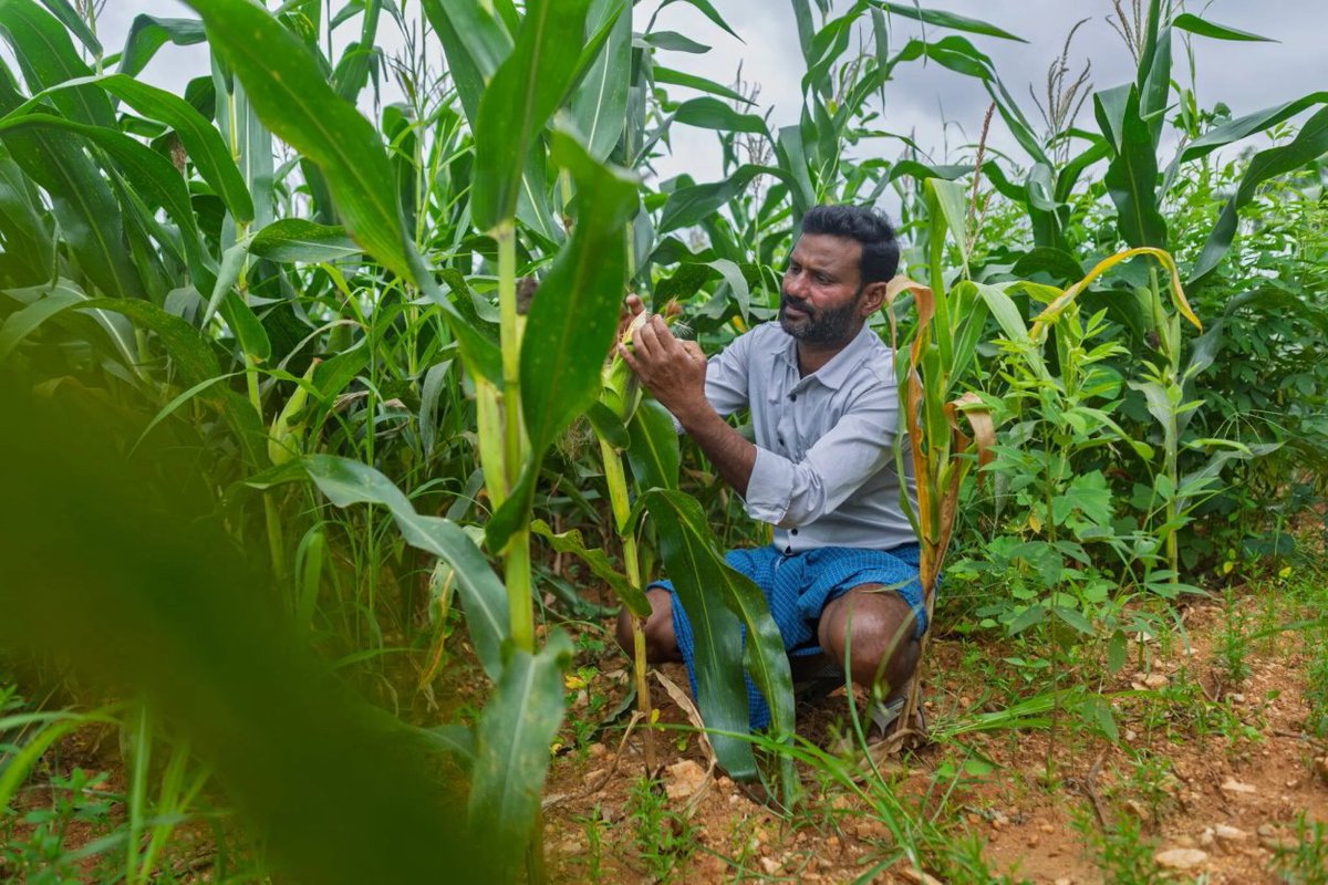 TechnoServe tweet media