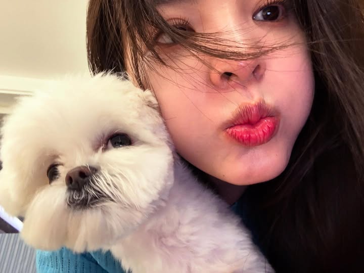 tc (@cwaishy) on Twitter photo 