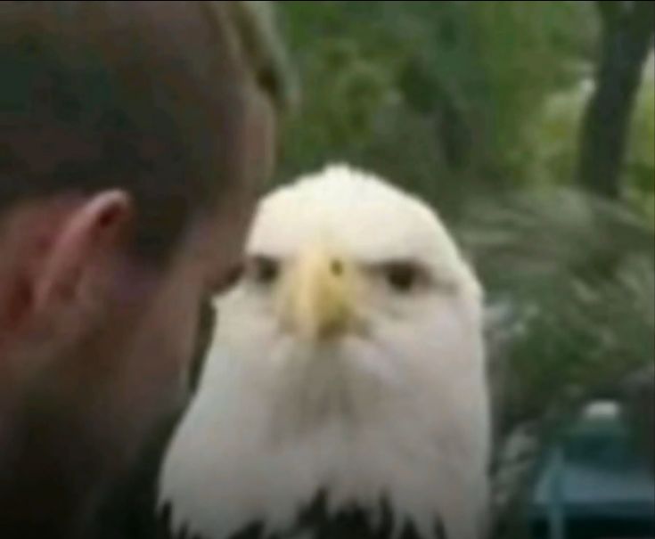 Ada | busy wips tweet media