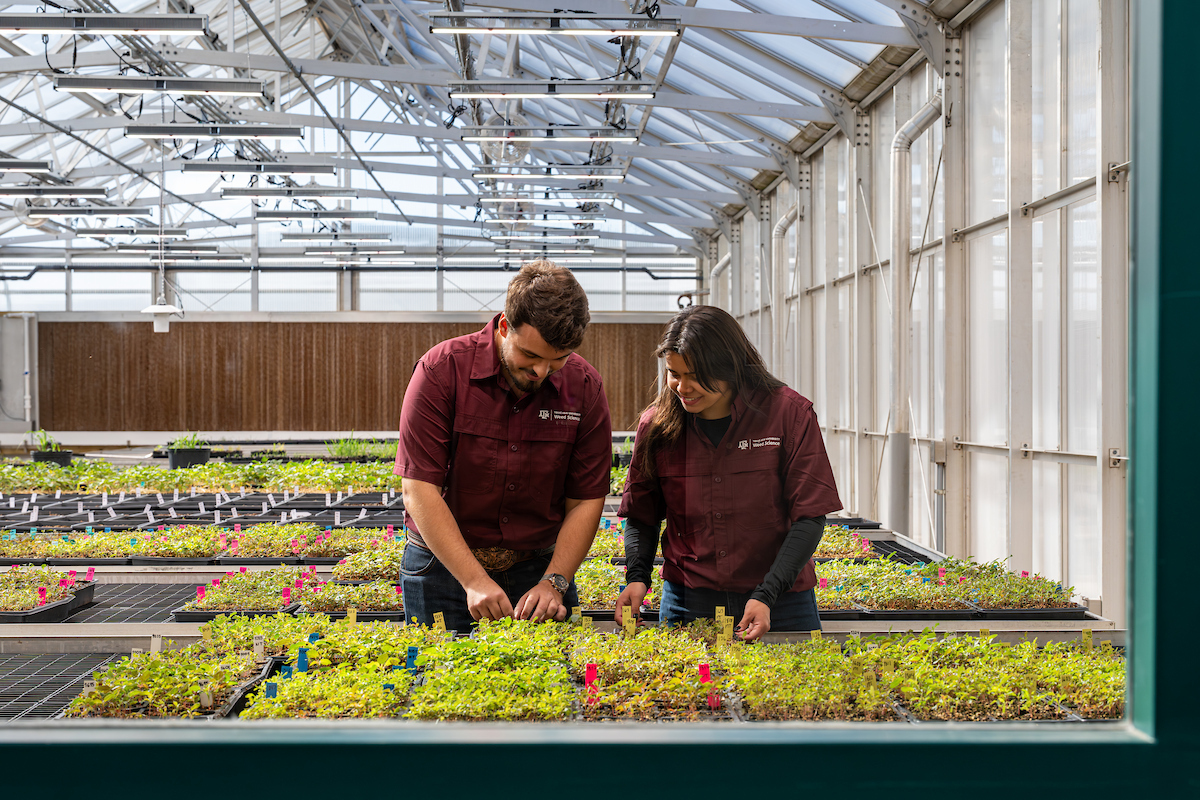 Jeffrey Savell tweet media