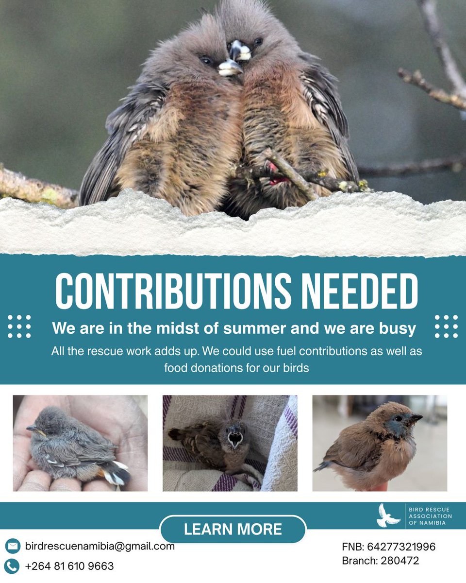 Eloise Visser 🇳🇦 tweet media