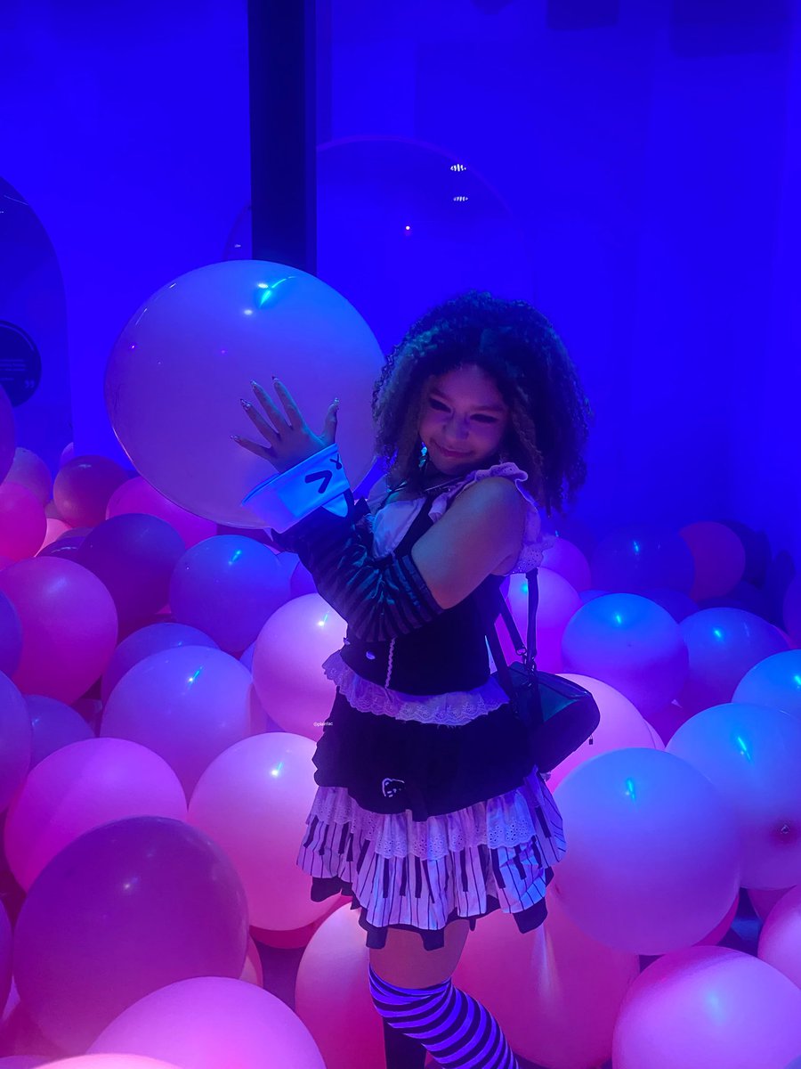 クマ 猫 tweet media