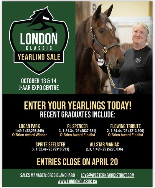 London Classic Yearling Sale tweet media