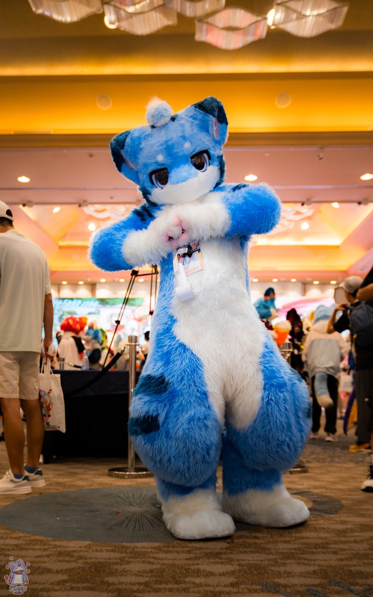 是子貉哟/Bud/Monie tweet media