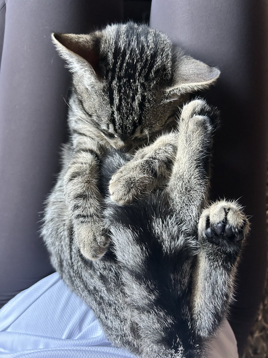 Linou 🛸 tweet media