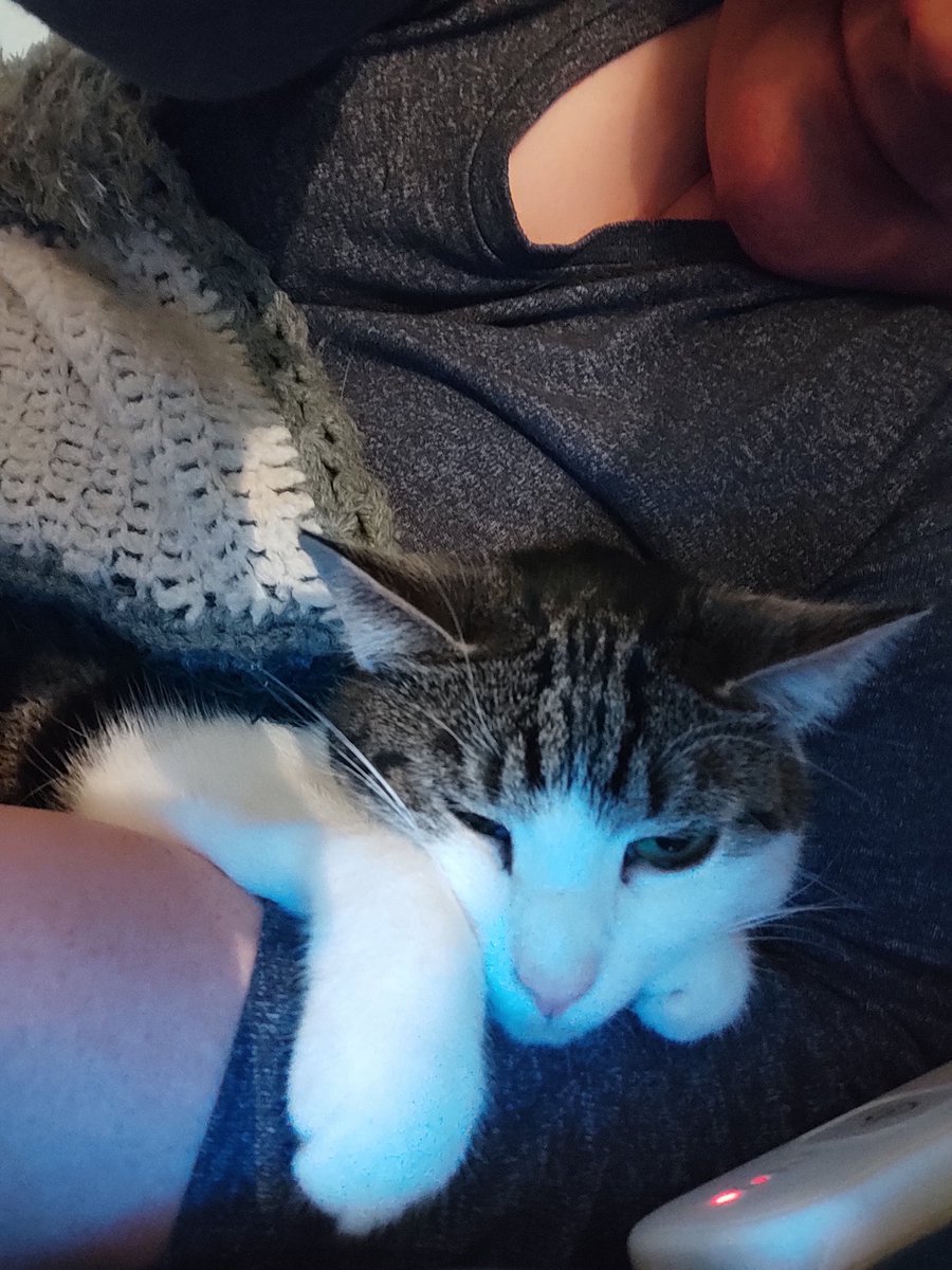 Rockkitties tweet media