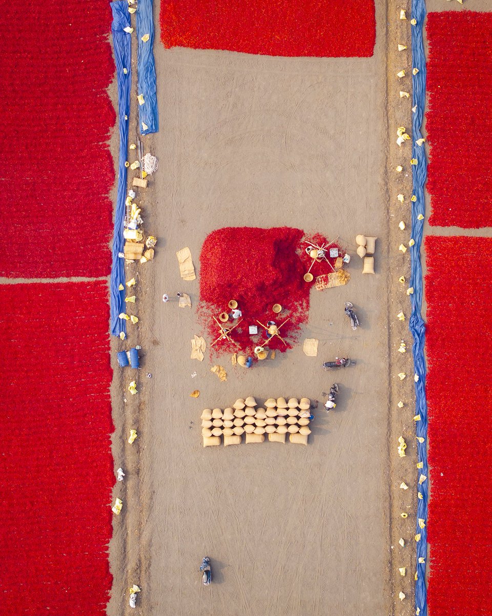 Suma Stories tweet media