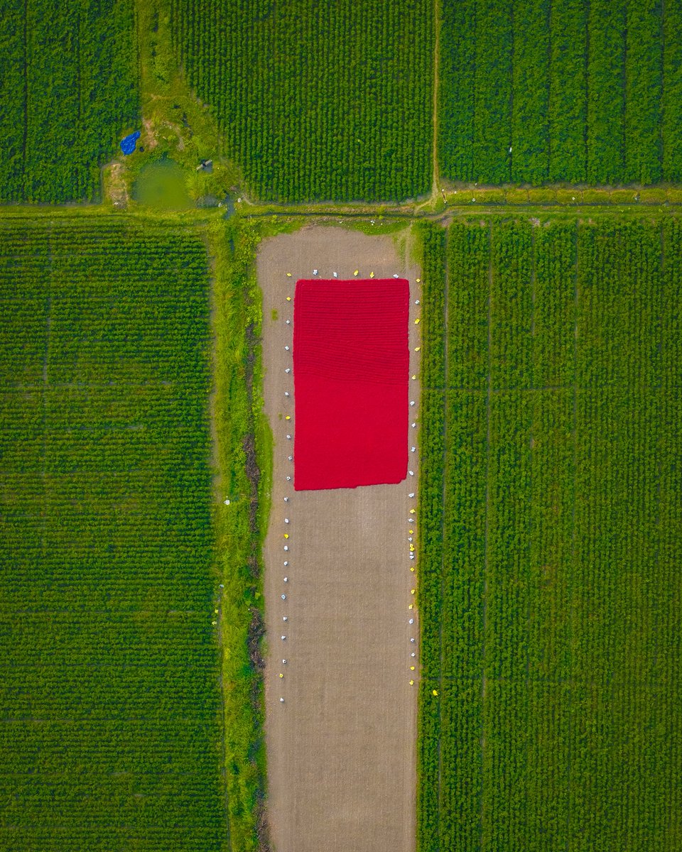 Suma Stories tweet media