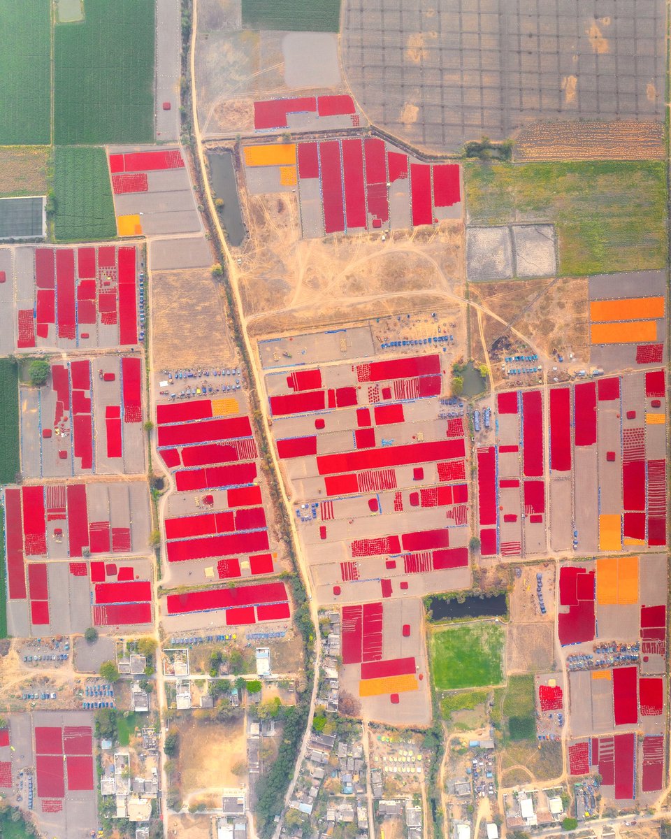 Suma Stories tweet media