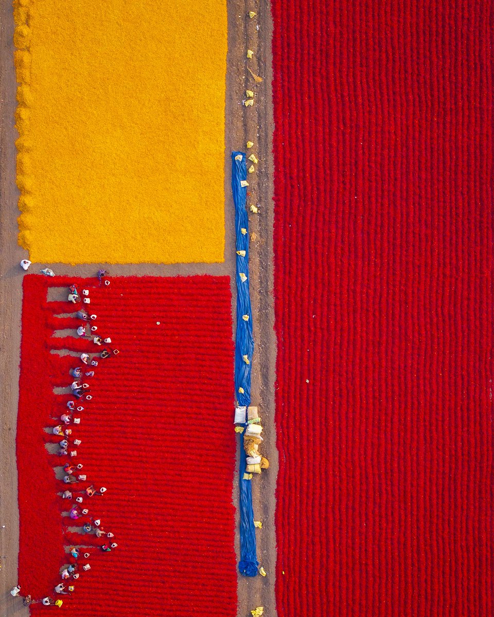 Suma Stories tweet media