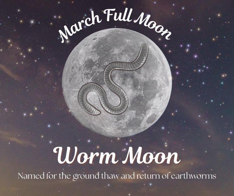 Wiccan_Seminary's tweet photo. The March full moon is known as the worm moon in observation of the ground thawing and the earth worms returning. This year the March full moon is on 3/3 https://t.co/brA6Zg3EsV