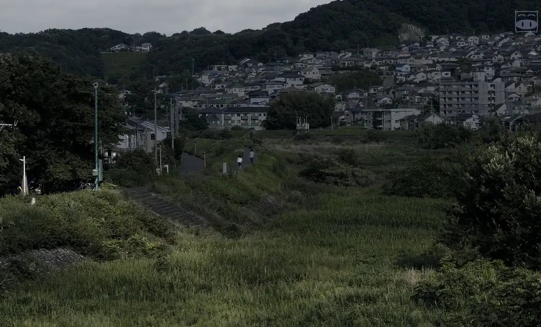 离岛islands tweet media