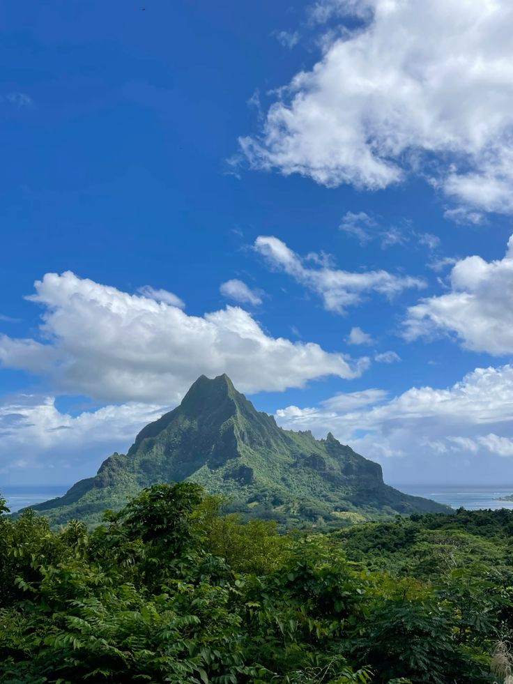 echoesofworld's tweet photo. French Polynesia https://t.co/ShgL8HRcgj