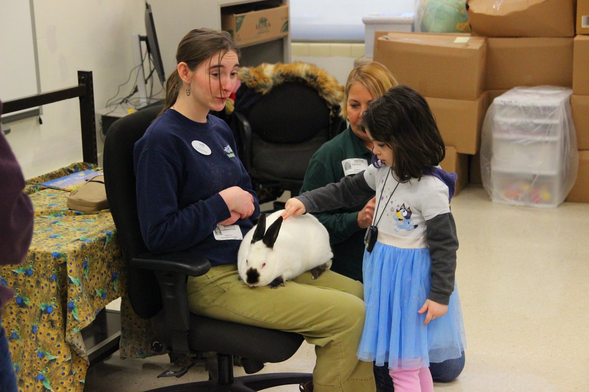 Forest Elementary tweet media