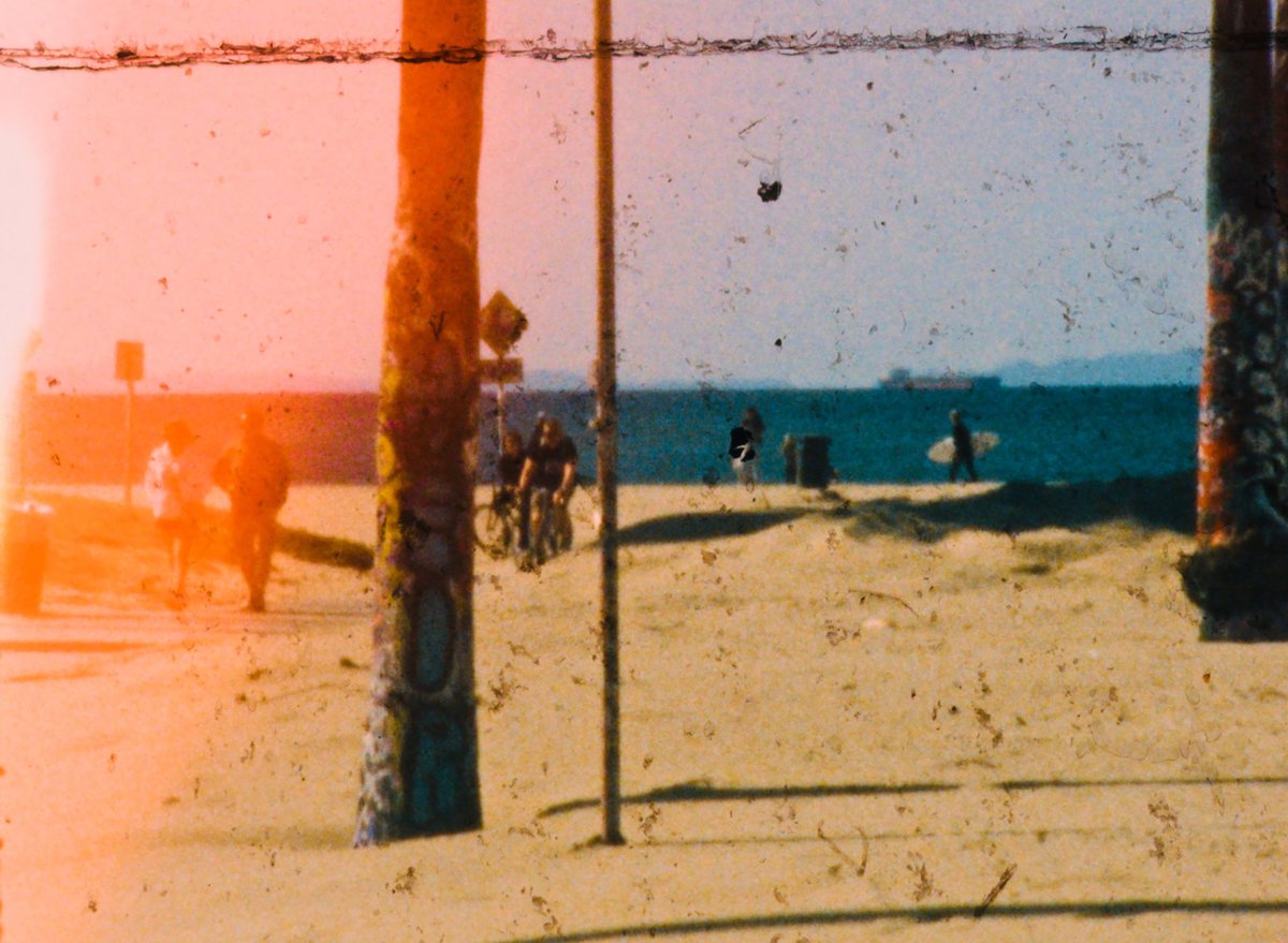 MoMA Film tweet media