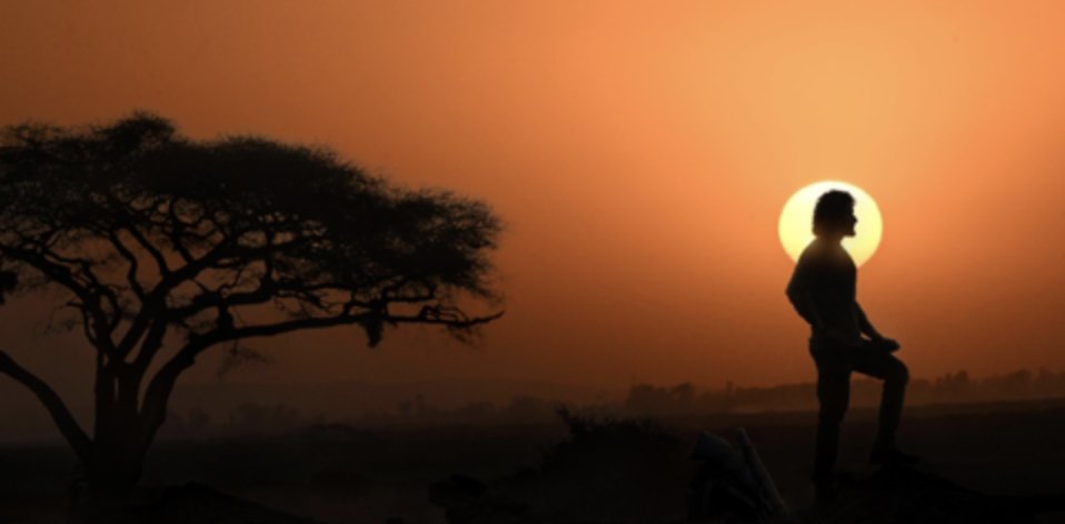 Variance Films tweet media