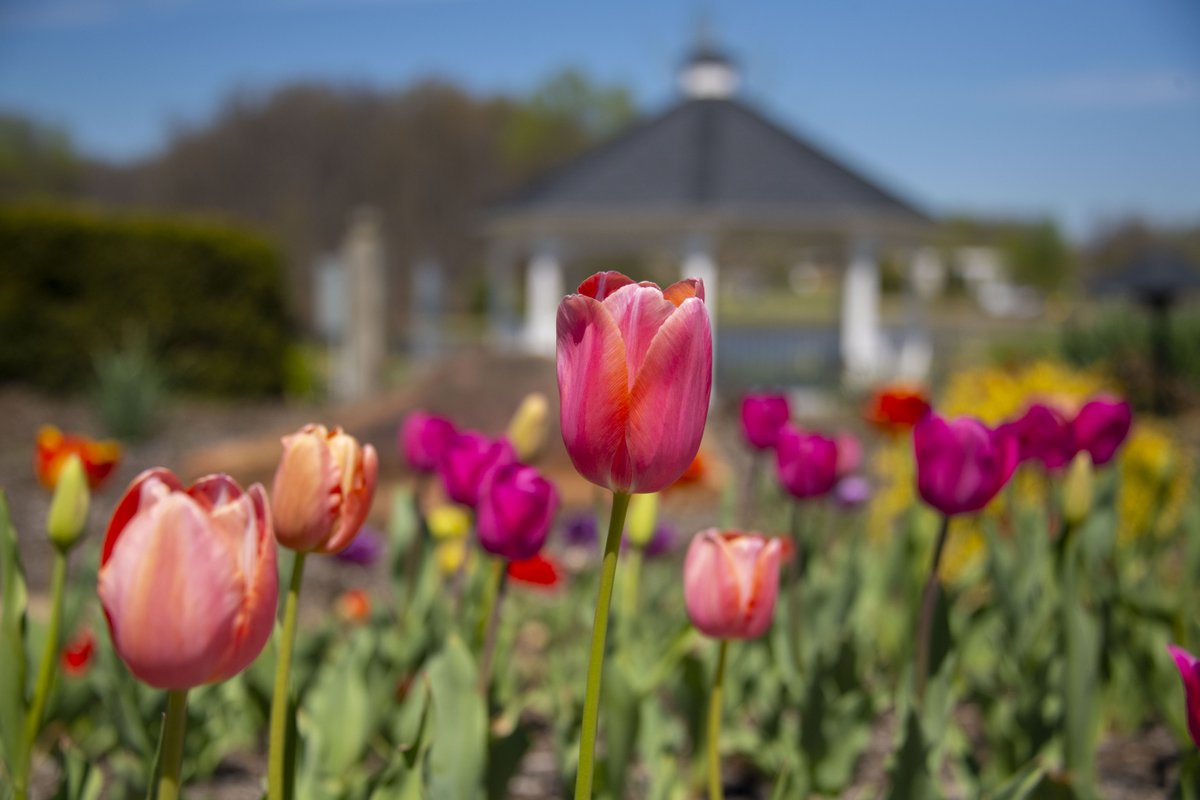 University of Southern Indiana tweet media