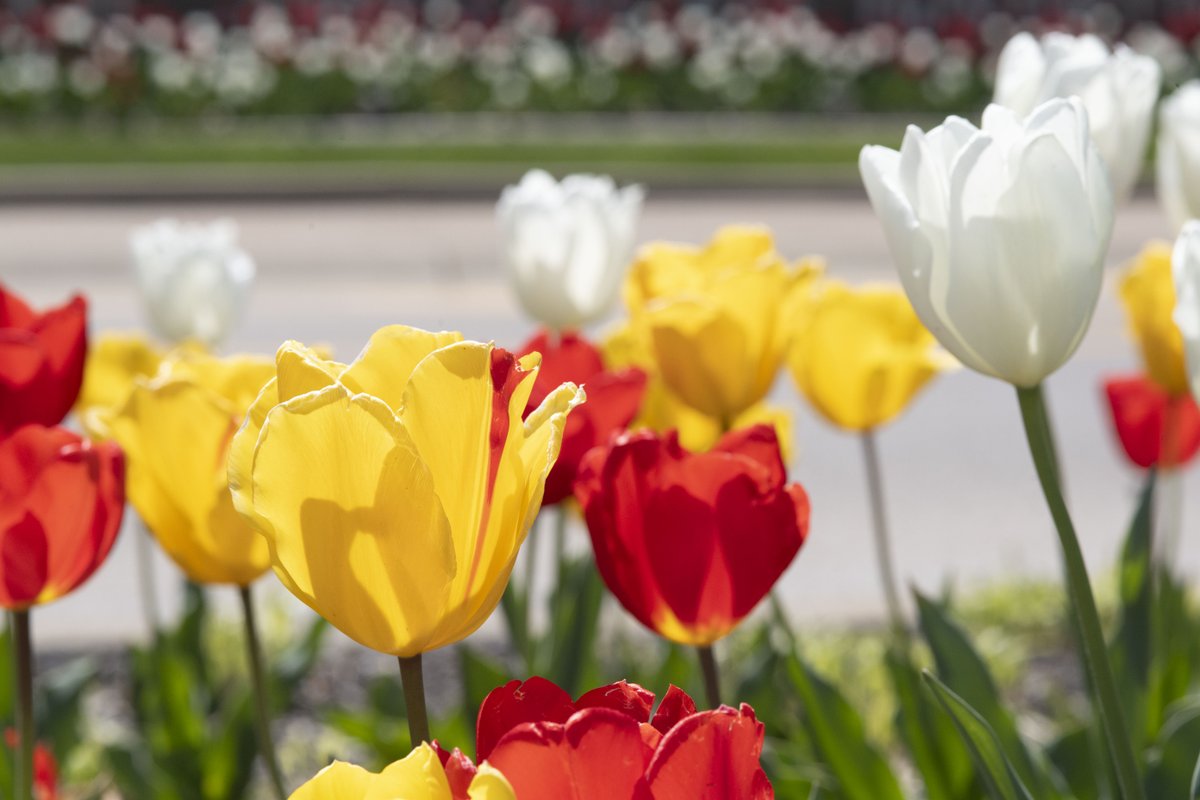 University of Southern Indiana tweet media