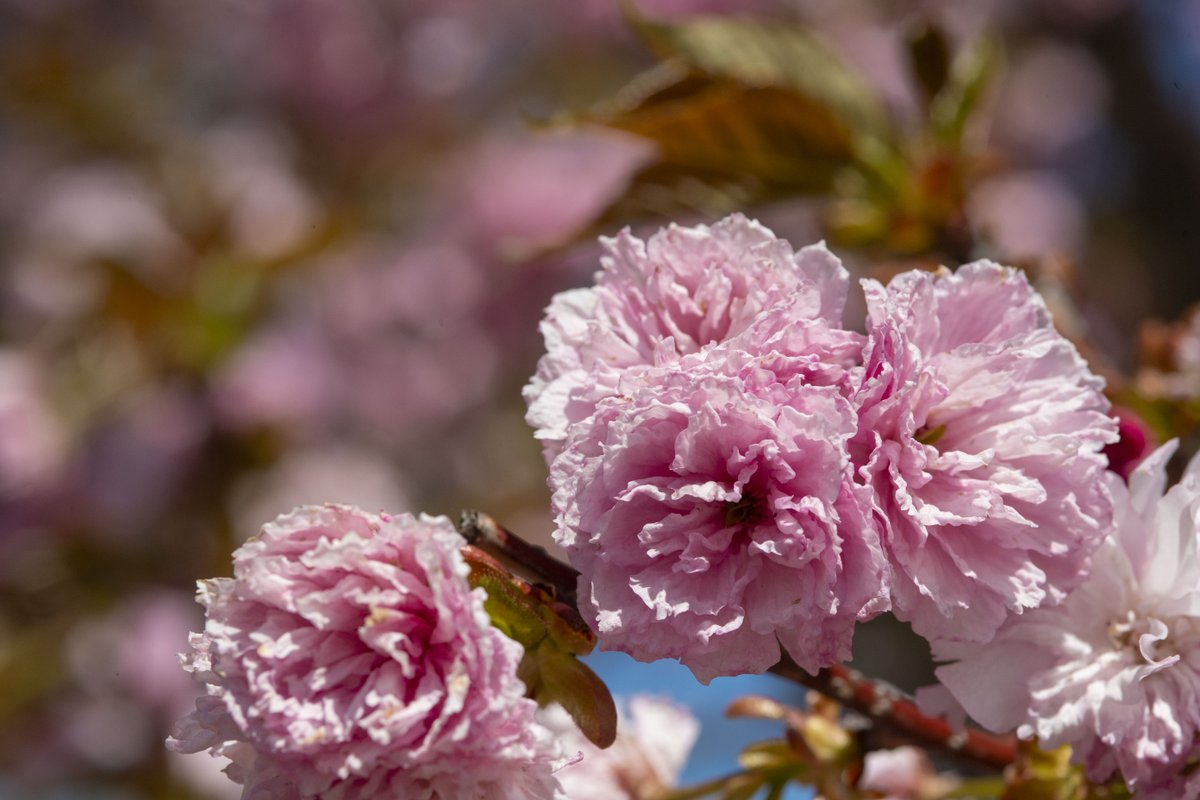 University of Southern Indiana tweet media