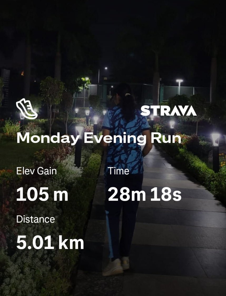 shebuilds tweet media