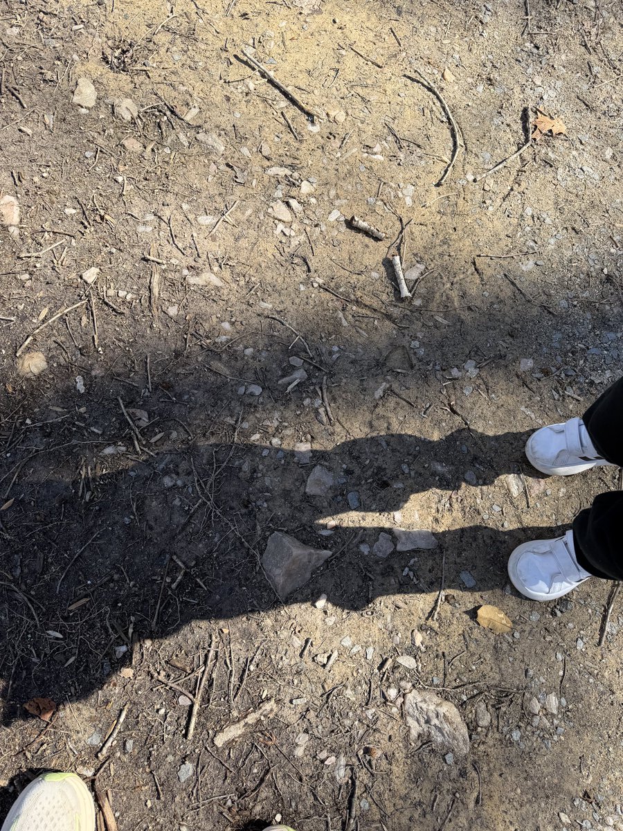 dirtyfern's tweet photo. “take a picture of that rock and send it to me” - Olivia when we’re on a walk https://t.co/PWvzxJKIB2