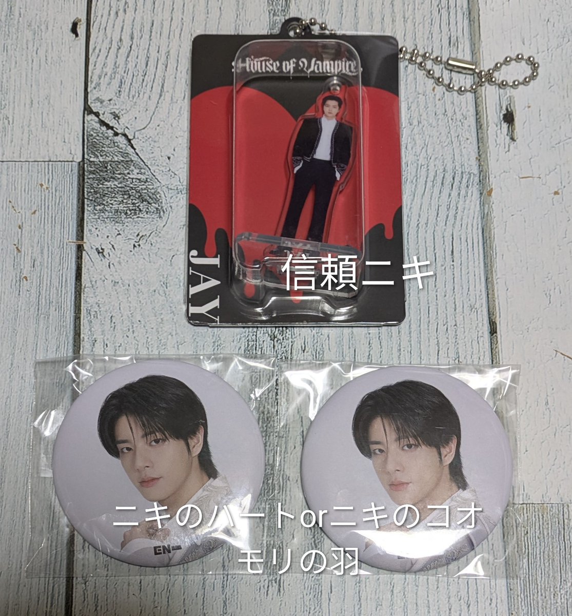 ENHYPEN House of Vampire ミュージアム グッズ ミニアクスタ