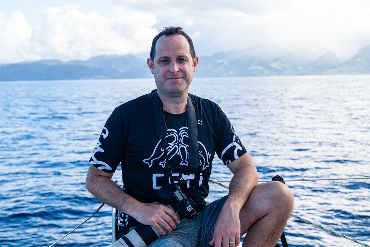 Project CETI tweet media