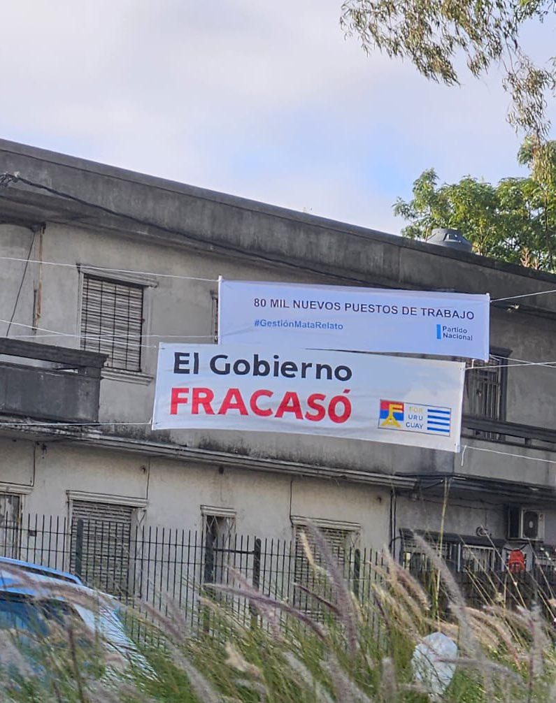 Graciela Bianchi tweet media
