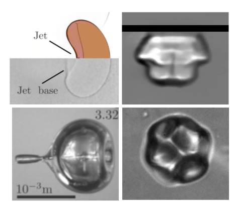 Physical Review Fluids tweet media