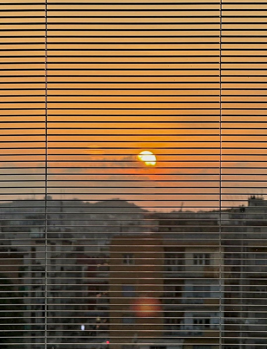 😺😽Maria😽😸 マリア (@mariasikula) on Twitter photo 