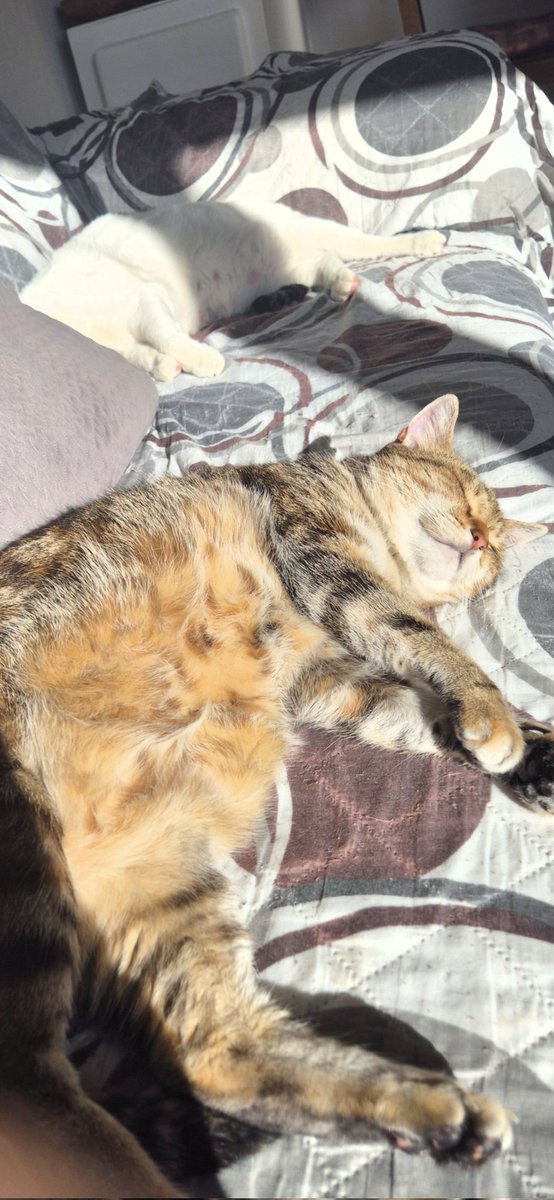 TheStreets tweet media