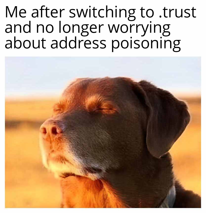 g $TRUST Domainorrrs

🤭👁️