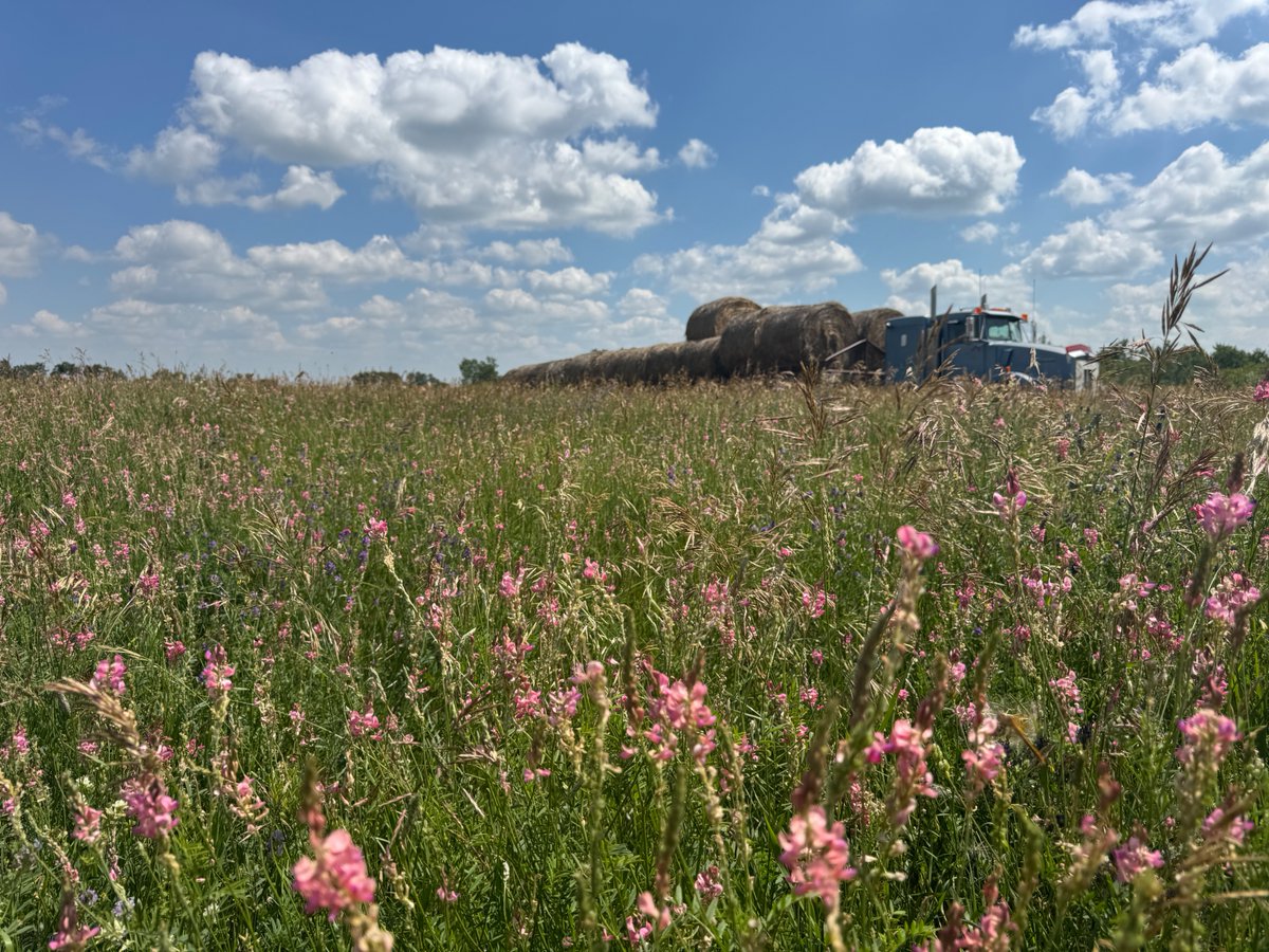 Sharpe's Crop Services tweet media