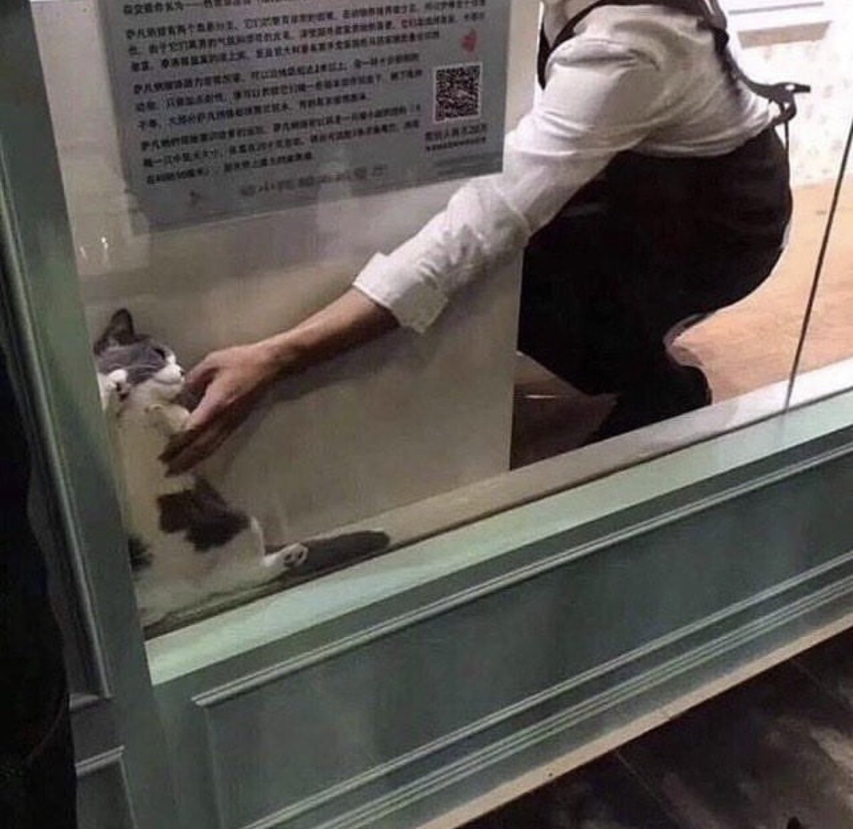 vx-underground tweet media