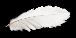 Dave aka Dot Says... 🇬🇧 🏴󠁧󠁢󠁥󠁮󠁧󠁿 🇦🇮 tweet media