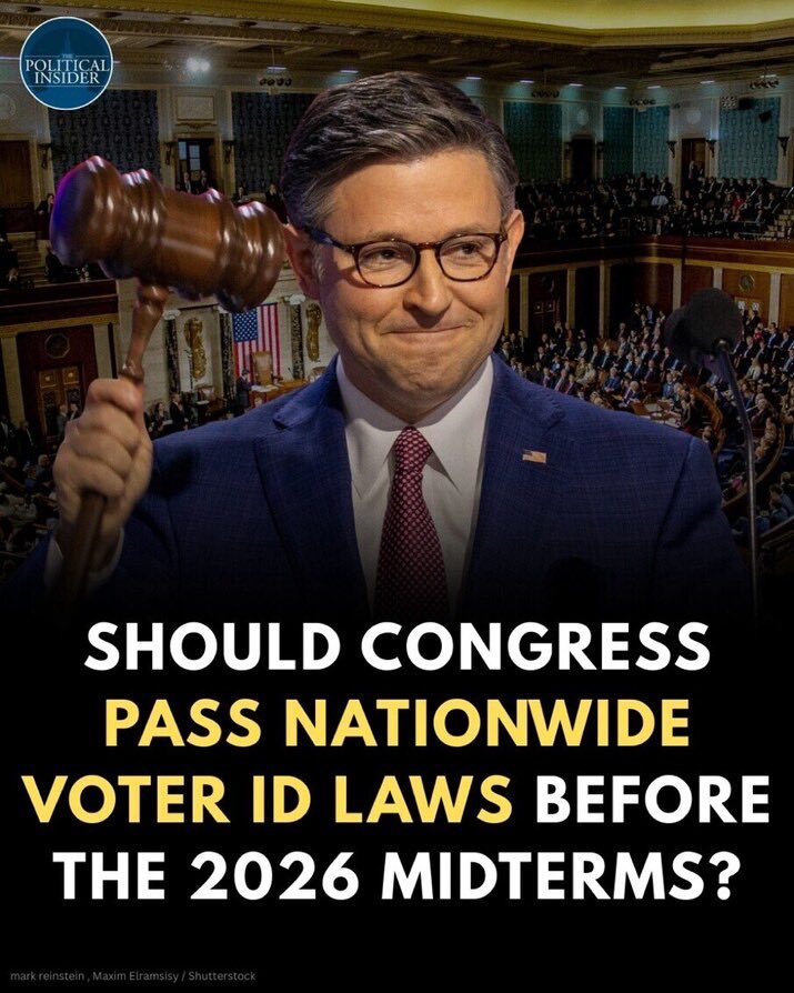 Steve 🇺🇸 tweet media