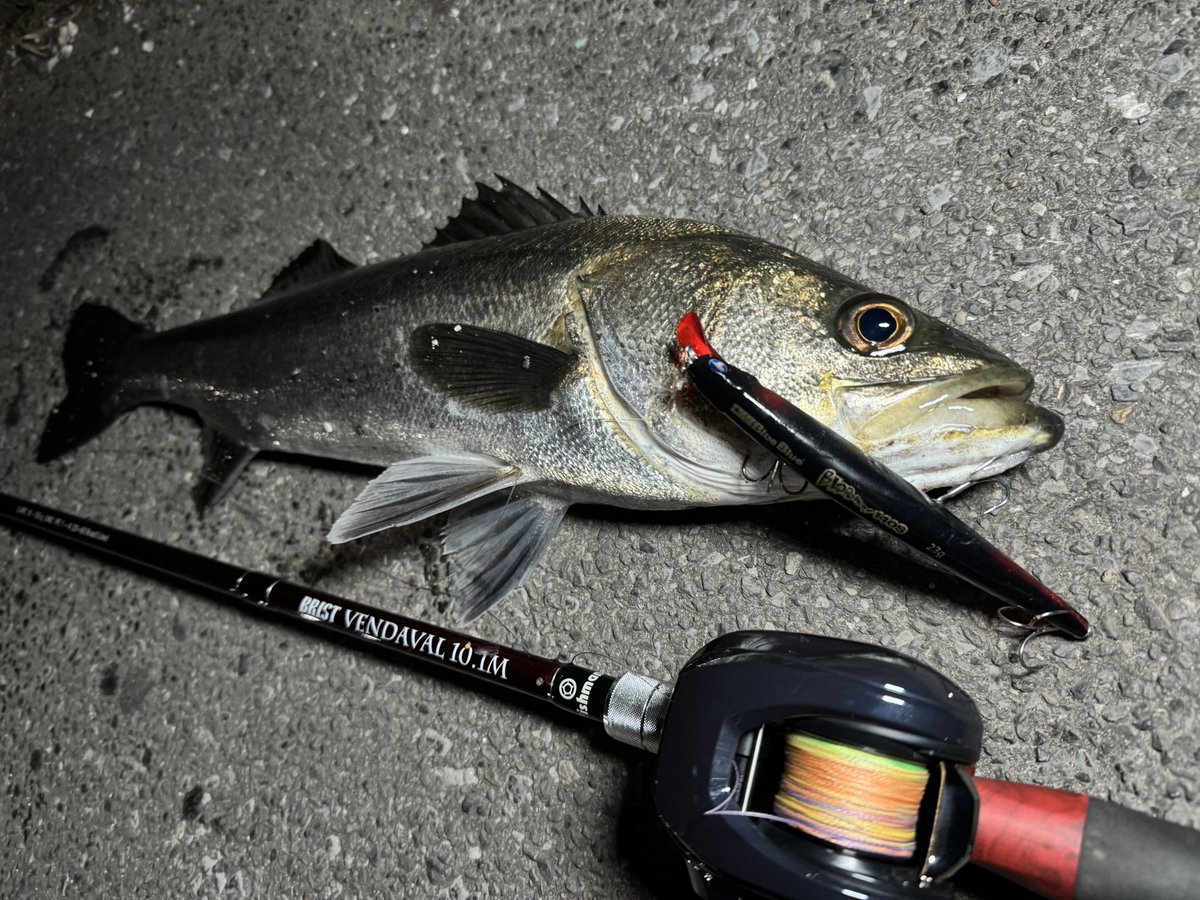 Akio Iizuka tweet media