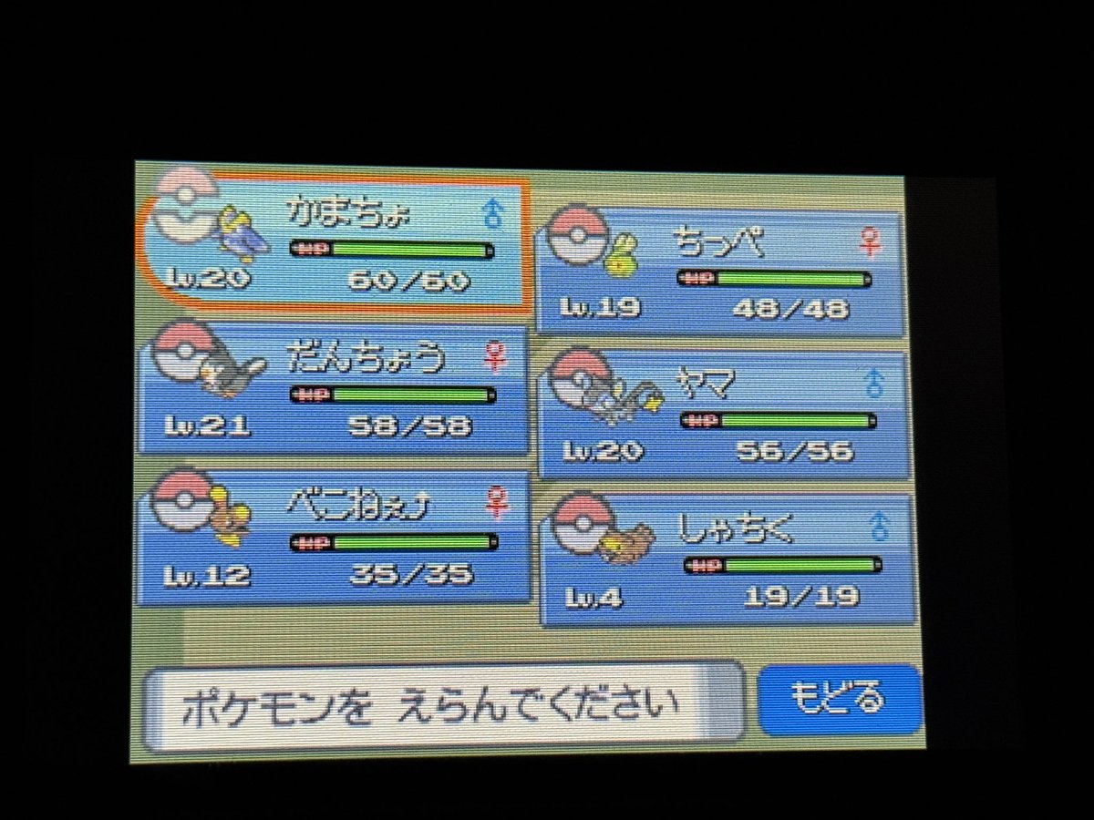 ERY_YuPPaI's tweet photo. 図鑑埋めと育成メインの2日目だったみたい https://t.co/t6o25slELO